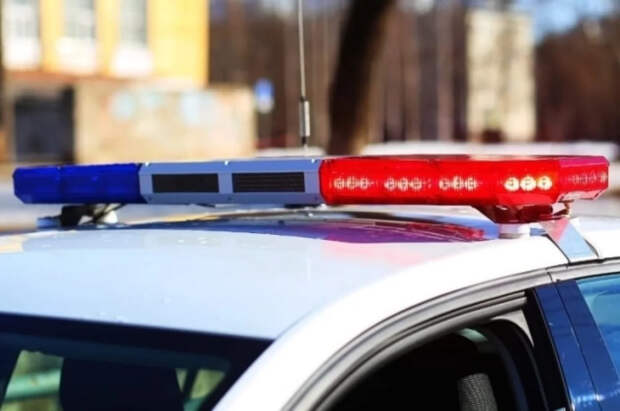 В Смоленске задержали подозреваемого в похищении 9-летней девочки