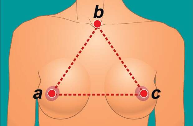 Путеводитель по женской груди