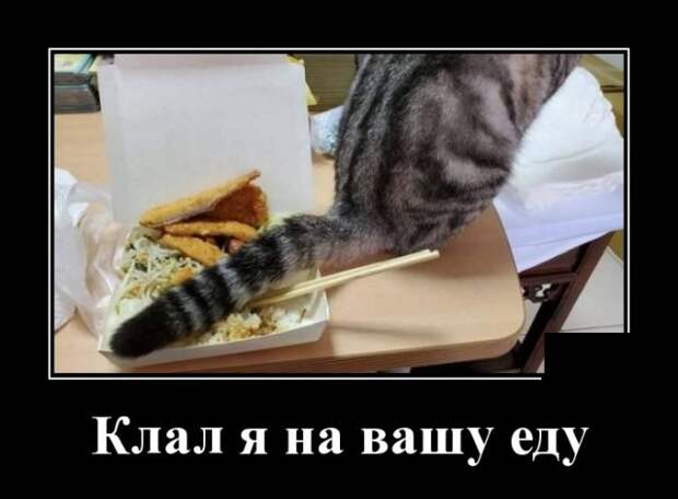 www.vsyako.net