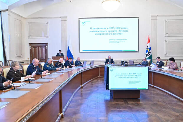 На проект "Охрана материнства и детства" в Новосибирской области запланировано почти 2 млрд рублей