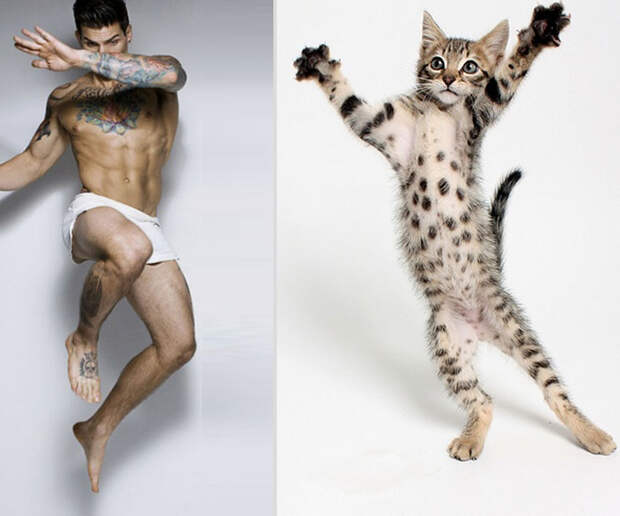 Котики и парни mencats21 Котики и парни