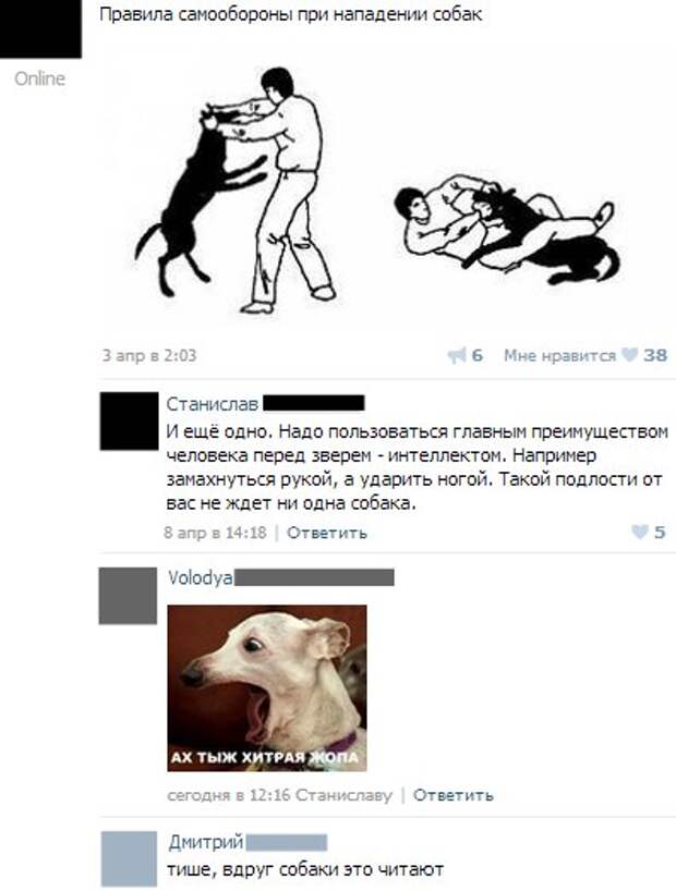 Подборка разных приколов