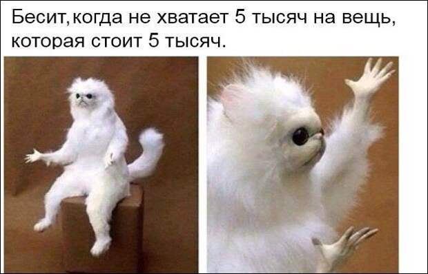 Прикольные картинки картинки из сети, прикол, юмор