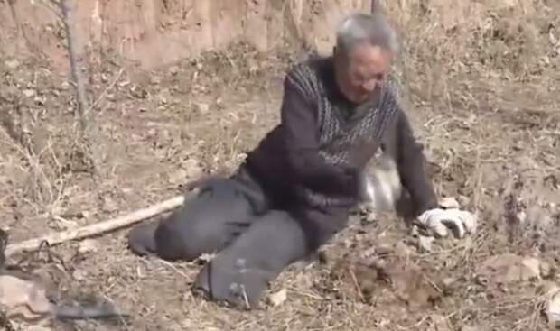 70-летний безногий ветеран посадил за 19 лет 17 000 деревьев