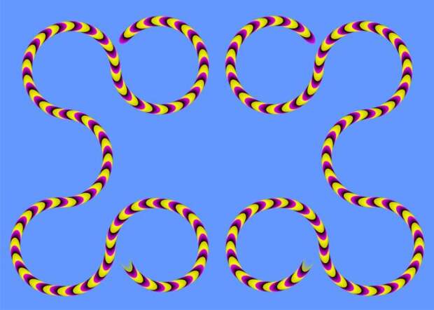 оптические иллюзии: змеи