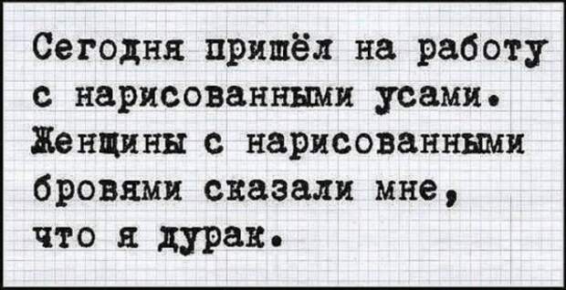Веселые мысли в картинках для хорошего настроения на весь день