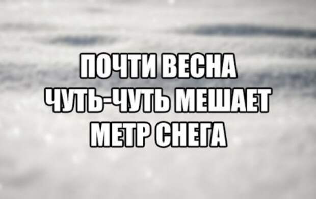 Анекдоты для хорошего настроения (13 шт)
