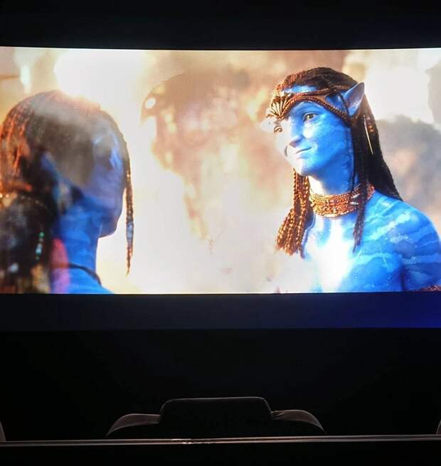 В российских кинотеатрах показывают экранку «Аватара 3» — за 1000–2000 рублей