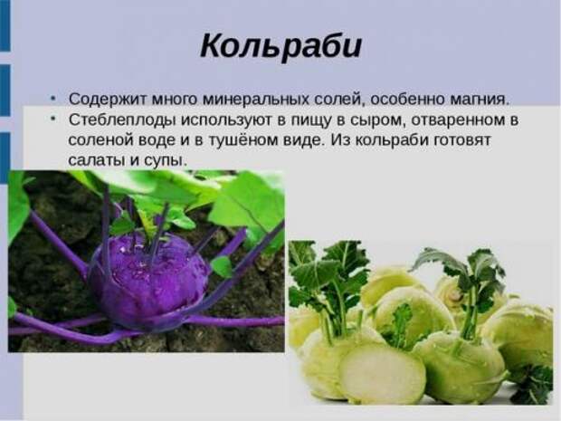 Что посадить у себя в огороде? 01