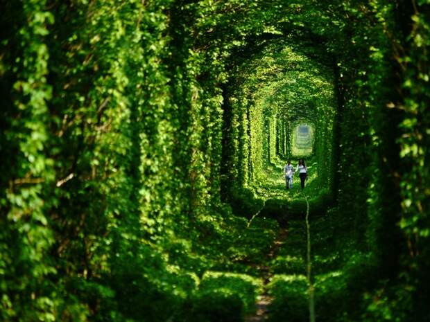 The 33 Most Beautiful Abandoned Places In The World 32 Самые красивые заброшенные места в мире