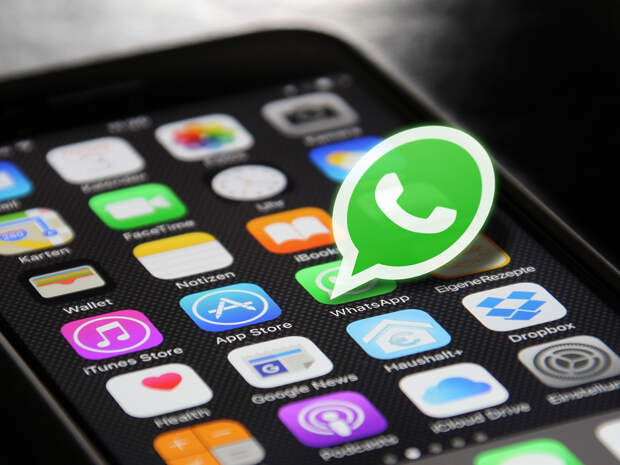 В WhatsApp назвали срок отключения пользователей, несогласных с новой политикой мессенджера