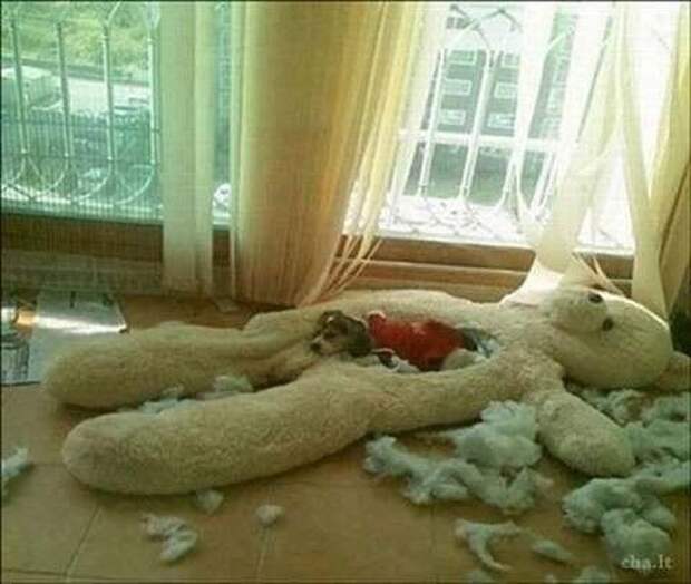 Приятно, когда тебя ждут