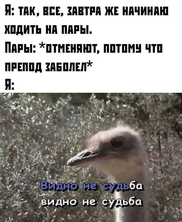 www.vsyako.net