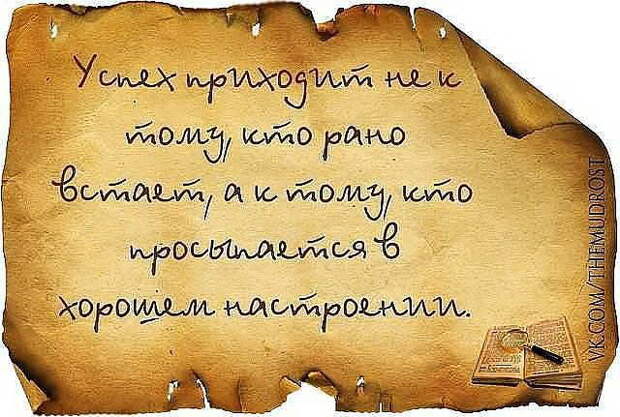 Трезвые мысли в картинках Трезвые мысли в картинках