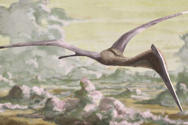 Ужас на крыльях: трансильванские птерозавры оказались вампирами