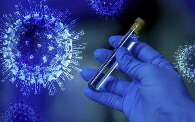 Роспотребнадзор исключил риск распространения вируса оспы обезьян в России