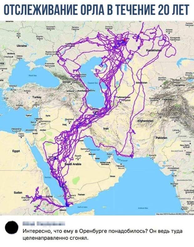 100% ржака, от которой будет болеть живот. Гарантия качества!