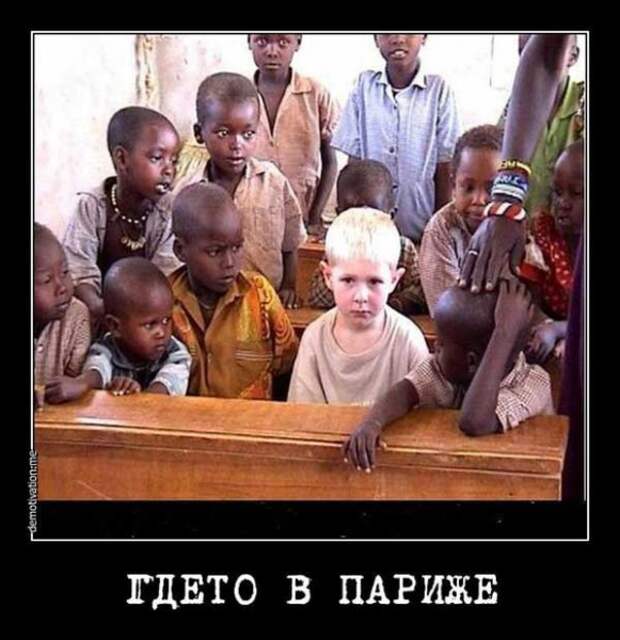 Иностранцы о толерастии:тупая безмозглая покорность приводит к шизофрении общества Иностранцы о толерастии:тупая безмозглая покорность приводит к шизофрении общества