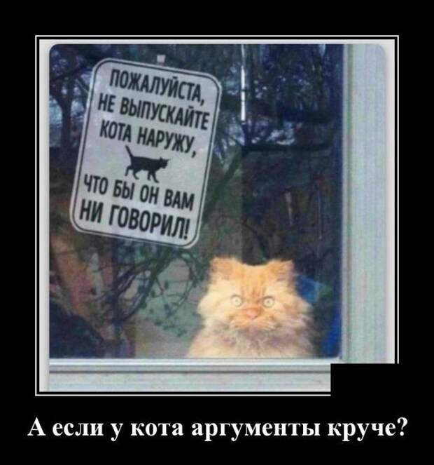 demotivatory-demotivator-smeshnye-demotivatory-demotivator-so-smyslom