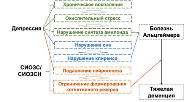 Схематическое изображение общих звеньев патогенеза депрессии и болезни Альцгеймера