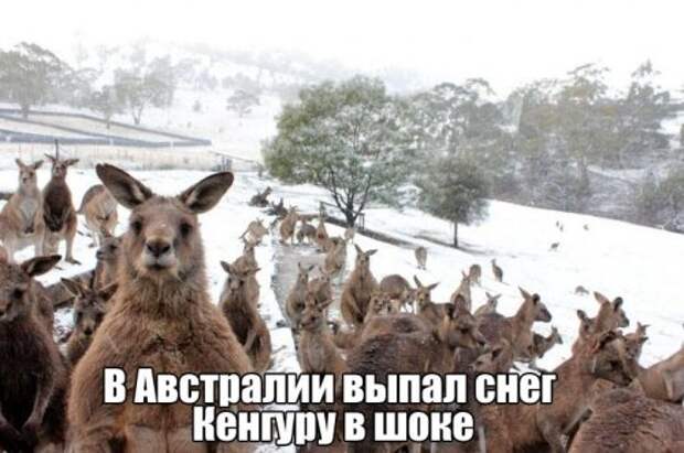 Прикольные картинки субботним утром (42 шт)