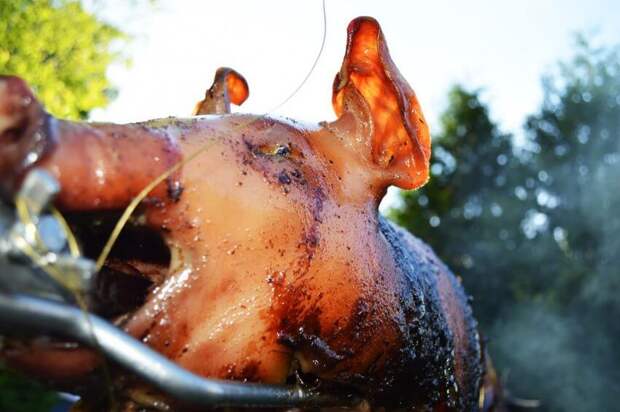 Фото: pixabay.com
