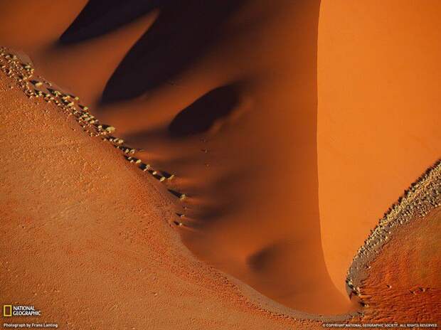 природа, мир, фотографии