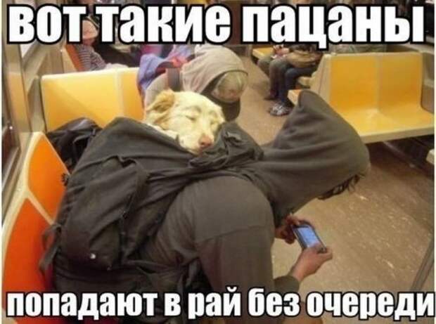 Прикольные картинки (45 шт)