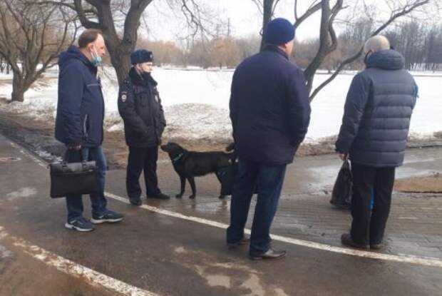 Владельцам собак в Лианозове напомнили об обязанности убирать за своими питомцами