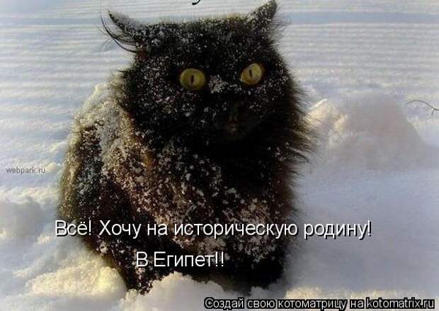 котоматрица египет (600x425, 48Kb)