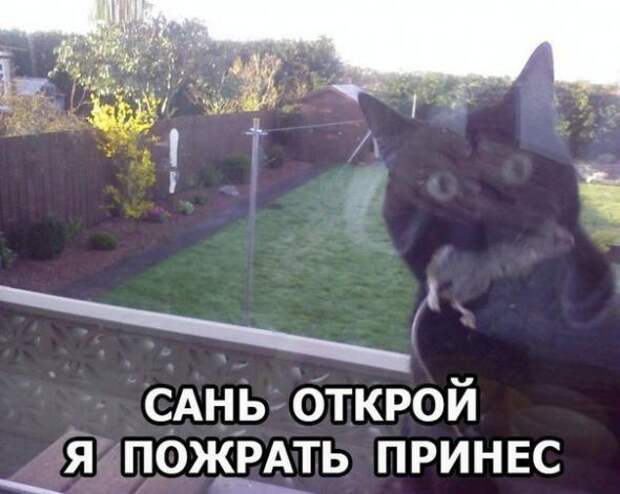 Картинки, юмор, приколы