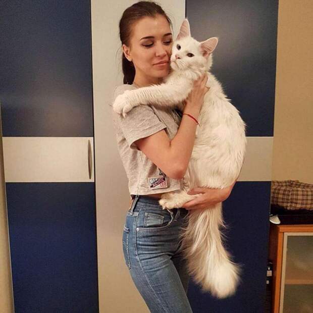 Гигантский мейн-кун из Москвы покорил сердца кошатников со всего мира (фото)