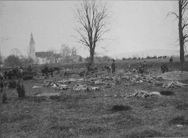 История России ХХ века глазами обывателя - 1914 год - Фотогалерия — Первая мировая война - 