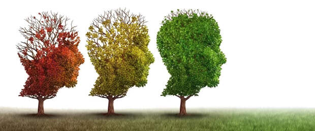 Ученые омолодили мозг мышей и справились с болезнью Альцгеймера