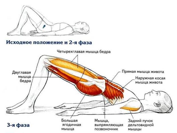 8 упражнений для укрепления спины, здоровье, упражнения для спины, Омолаживающие упражнения