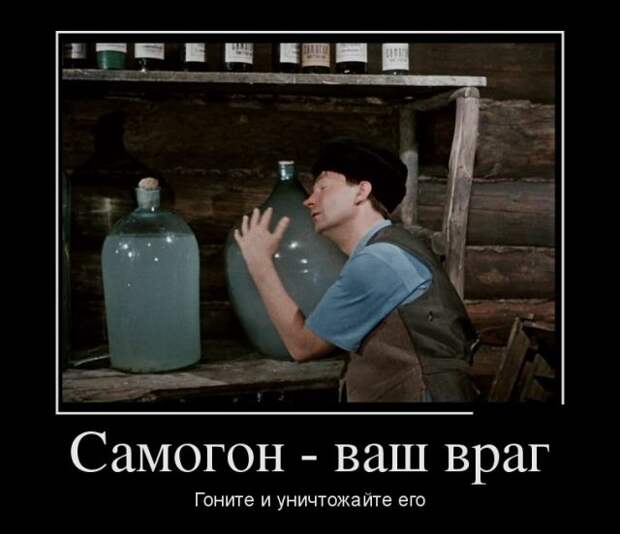 Демотиваторы свежие и позитивные для поднятия настроения (11 фото)