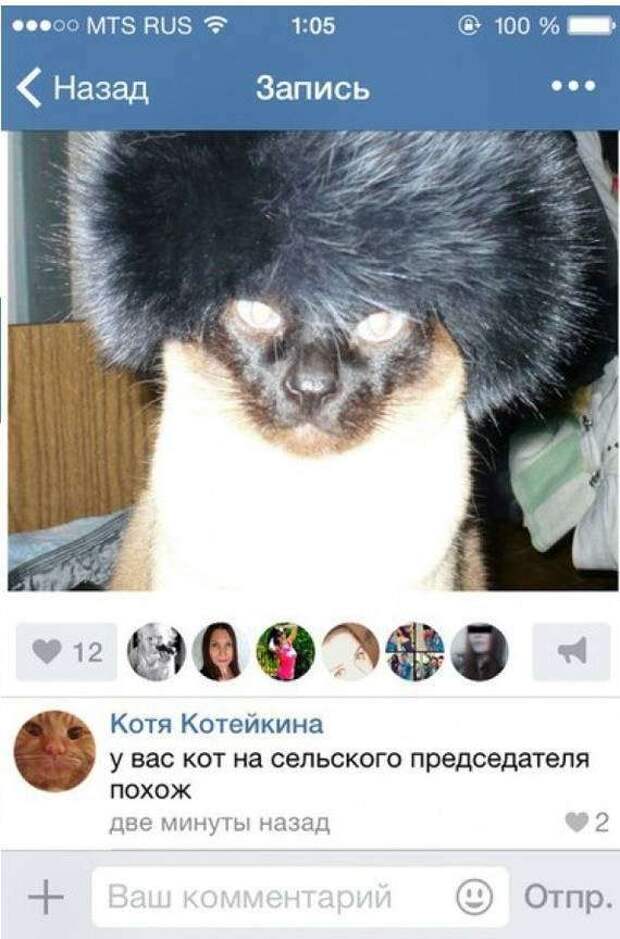 Смешные комментарии. Подборка chert-poberi-chert-poberi-38130618022020-13 картинка chert-poberi-38130618022020-13