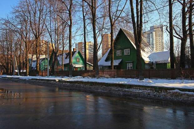 поселок/ фото: http://petrovskipark.ru