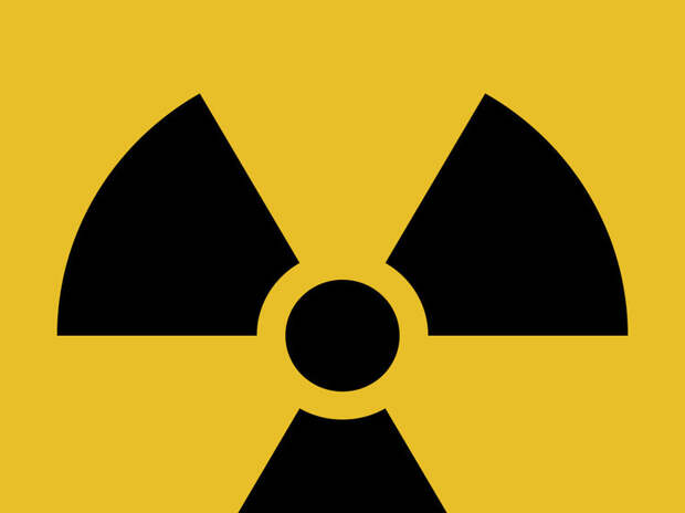 Учёные выявили иммунный к радиации организм