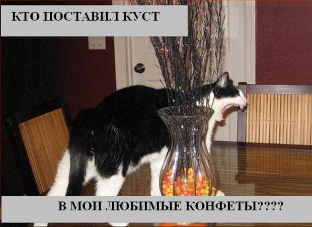 Мысли2 :) (50мыслей)