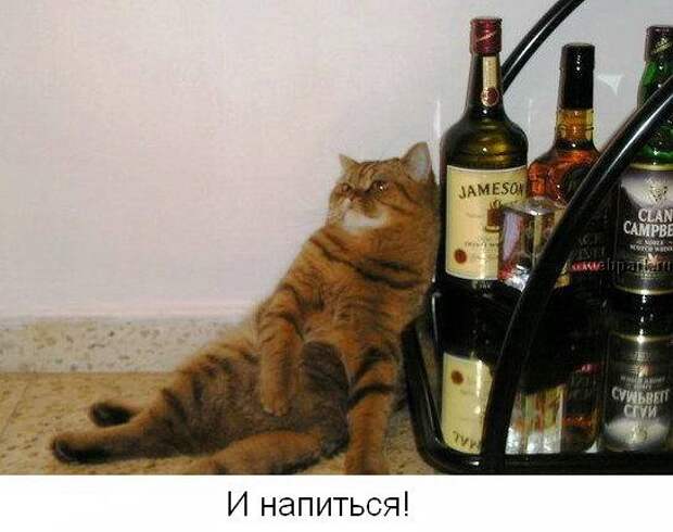 Не унывай! :) (22фото)
