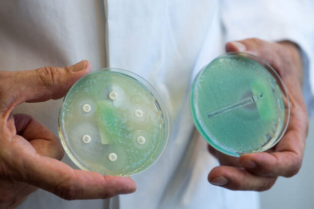 Администрация Мариуполя: холероподобный вибрион обнаружен в водоемах города