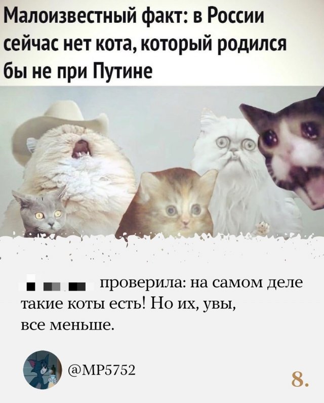 www.vsyako.net
