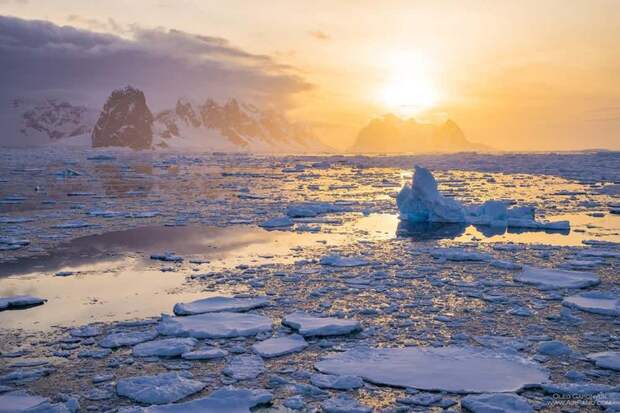 Летом солнце надж Антарктидой не опускается ни на минуту Антарктика, интересно, познавательно
