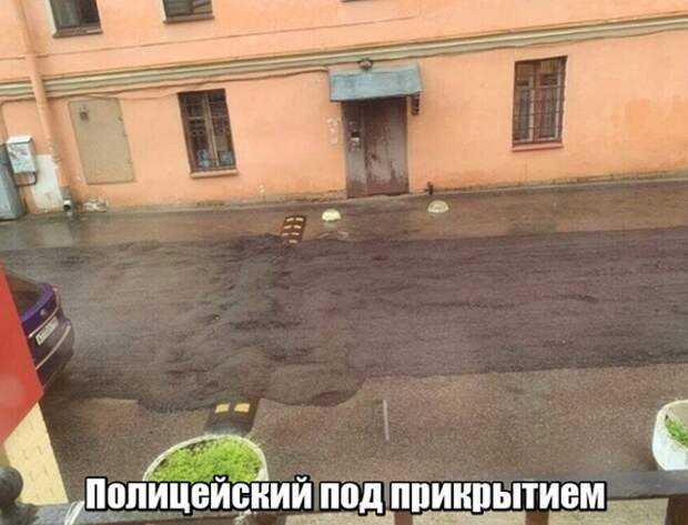 www.vsyako.net