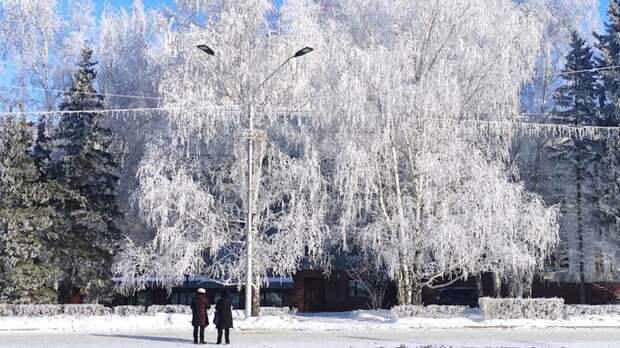 До -14. О погоде в Барнауле днем 13 февраля