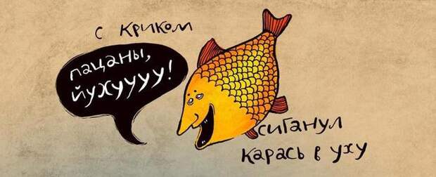 25 нестандартных комиксов с юмором не для всех от российской художницы 25 нестандартных комиксов с юмором не для всех от российской художницы