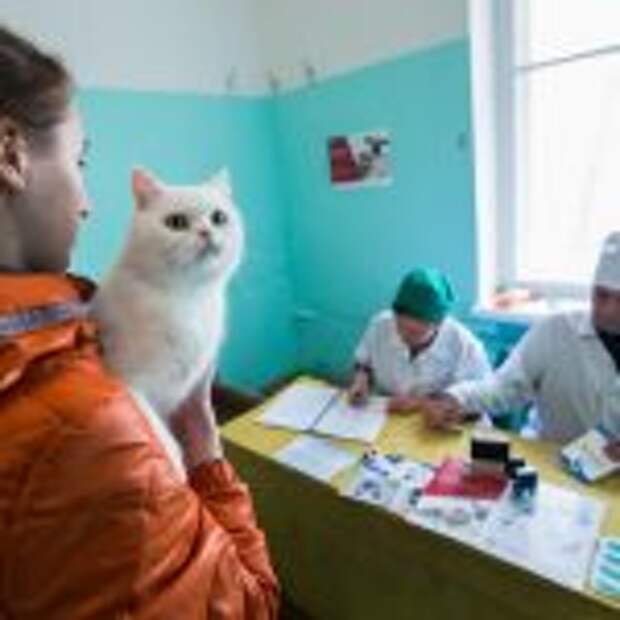 анонс