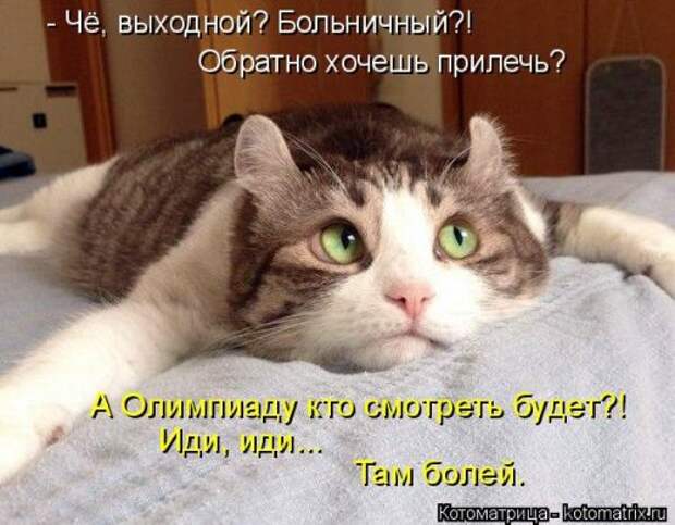 Свежий сборник котоматриц (34 шт)