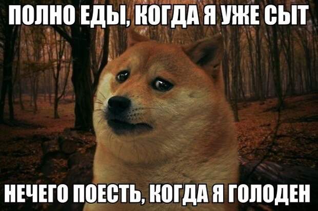 Новогодние приколы
